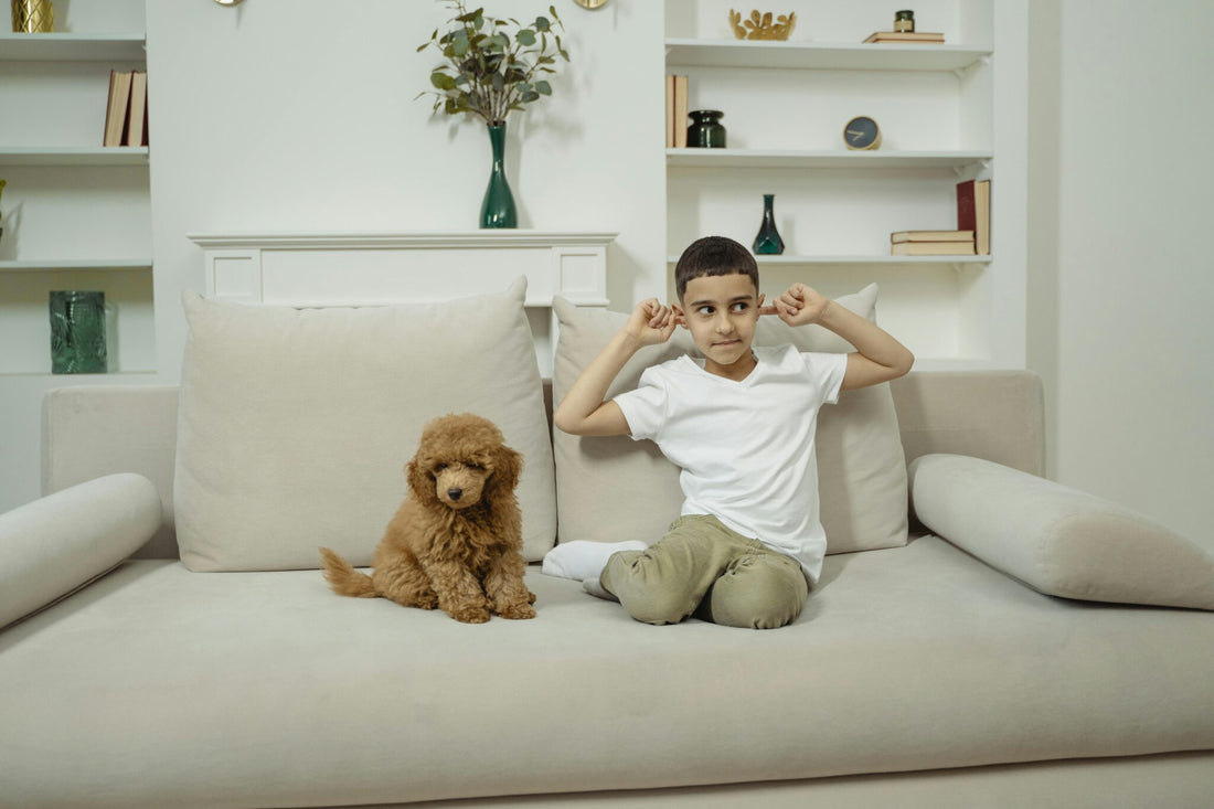 The White Furniture Dilemma: Why Light Colors Don’t Have to Mean High Stress