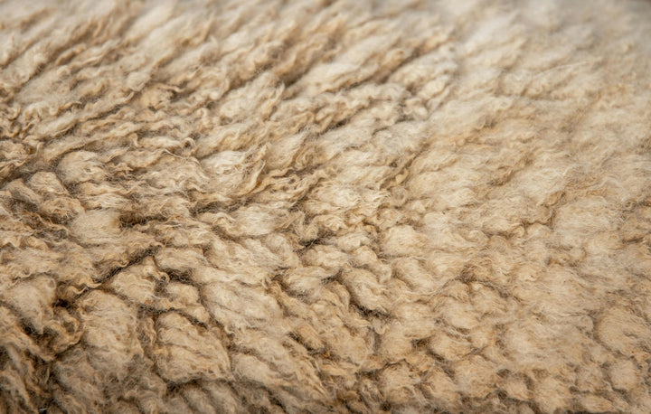 Wool: The Timeless Choice That Gets Better With Proper Care